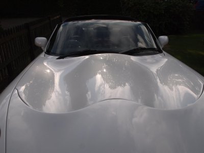画像5: TVR タスカン